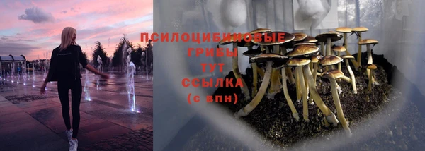 мдма Заводоуковск