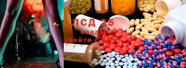 гидра Зеленодольск