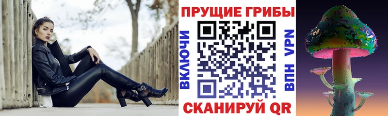 Купить где Заводоуковск Галлюциногенные грибы MAGIC MUSHROOMS